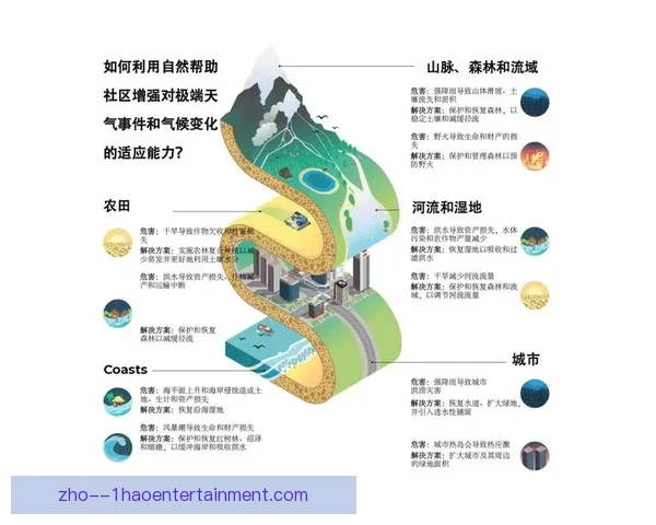 国家队核心球员伤停情况下的战术调整与人员替代应对指南